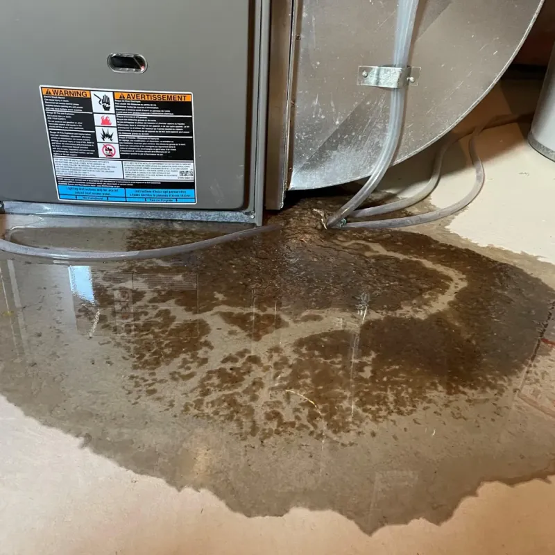 Appliance Leak Cleanup in Campton, KY