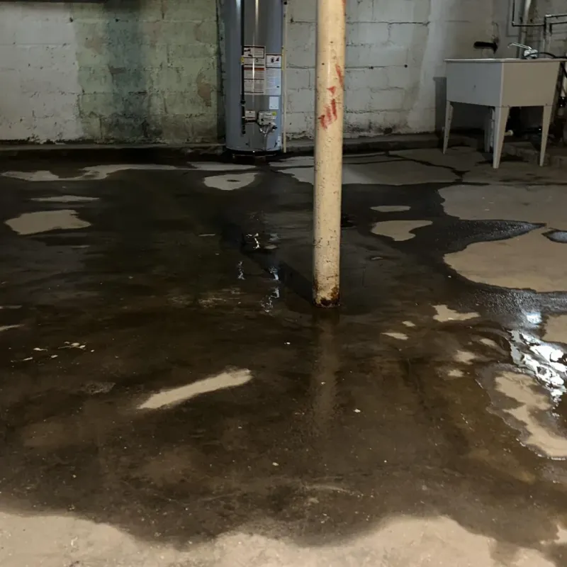 Emergency Water Extraction And Removal in Campton, KY